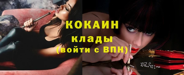 сатива Верхний Тагил