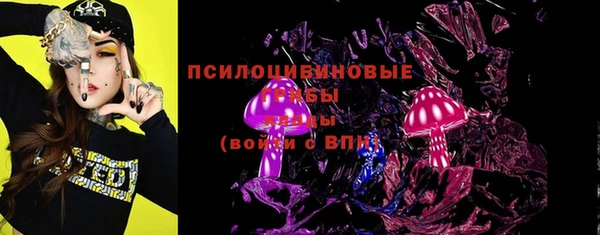 сатива Верхний Тагил