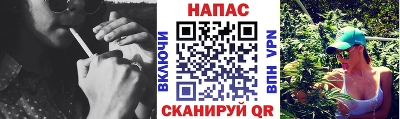 Шишки марихуана ГИДРОПОН  Купить где  Бирюч 